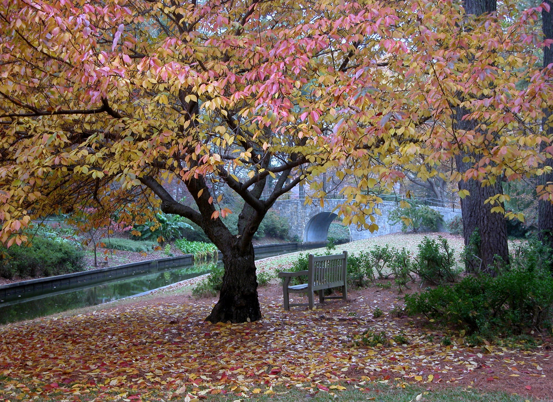 Fall in the Matson Garden