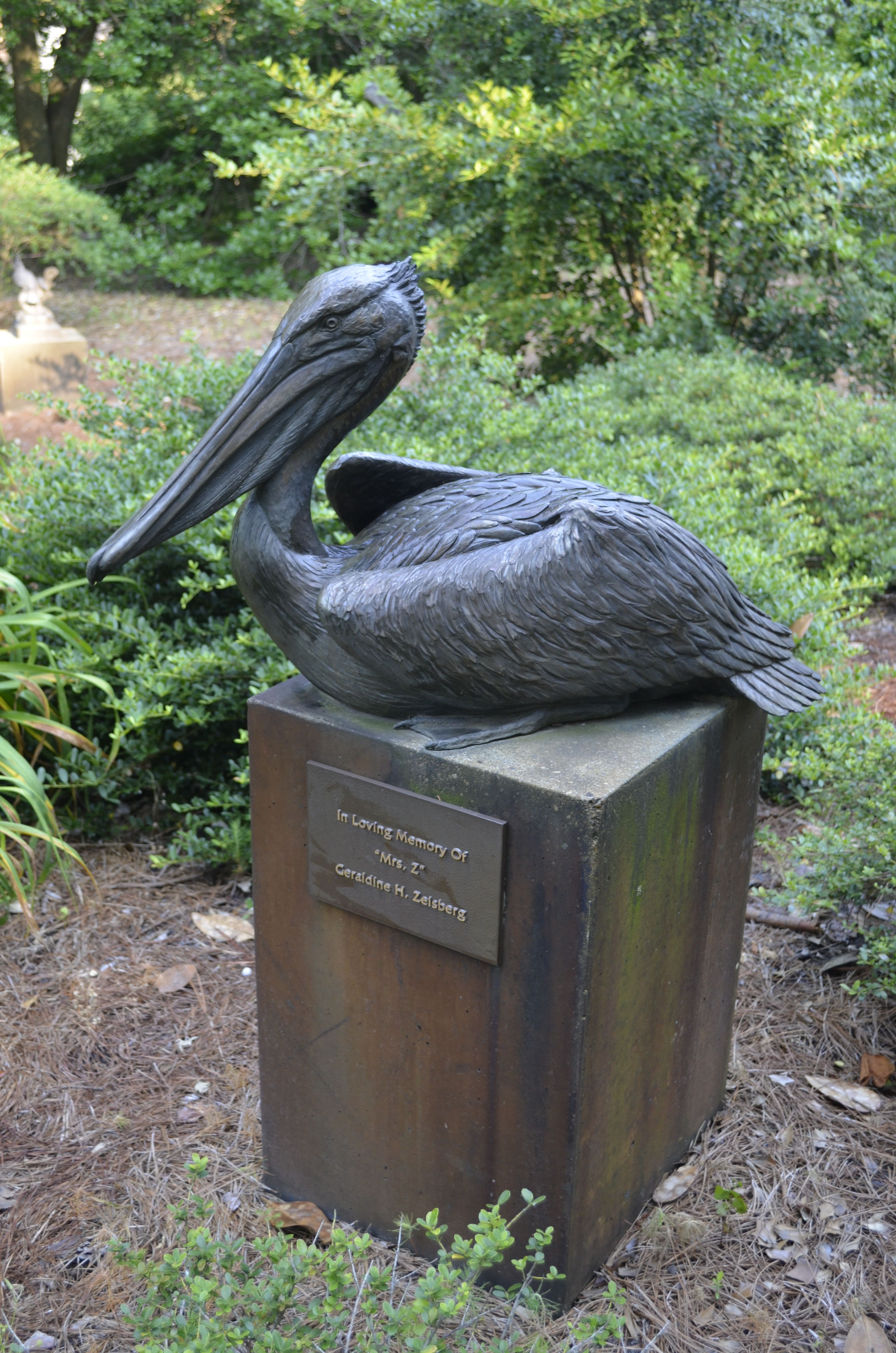 pelican