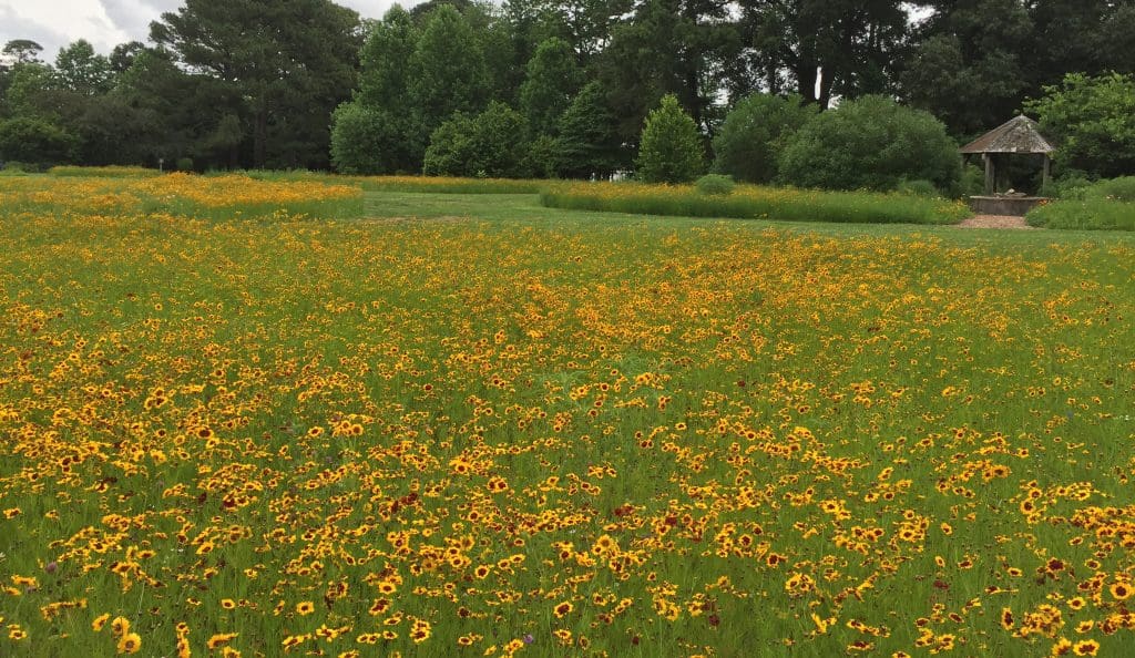 Norfolk Botanical Garden Virginia's Largest Botanical Garden