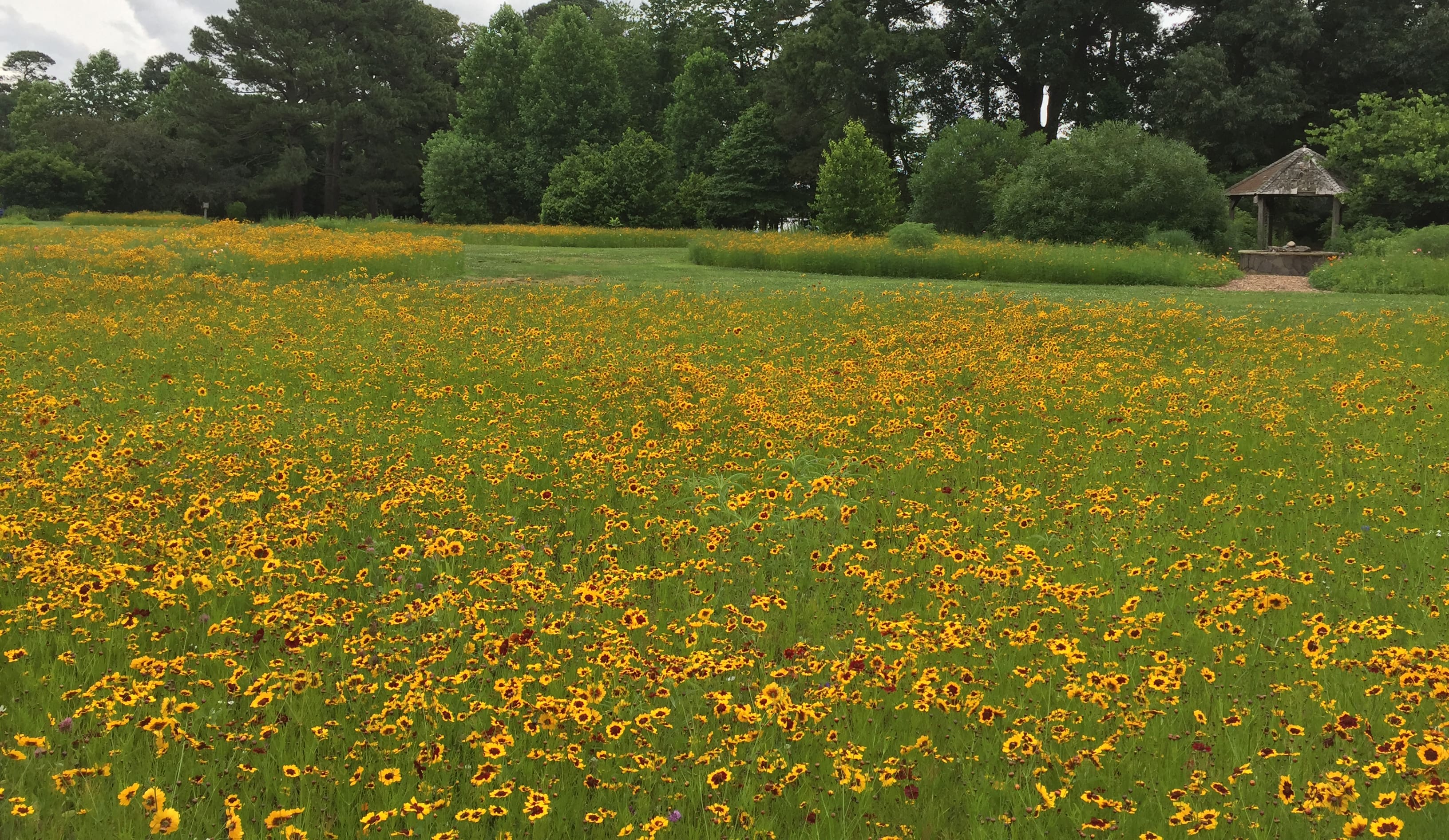 Norfolk Botanical Garden Virginia S Largest Botanical Garden