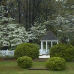 Colonial Garden Walk & Talk