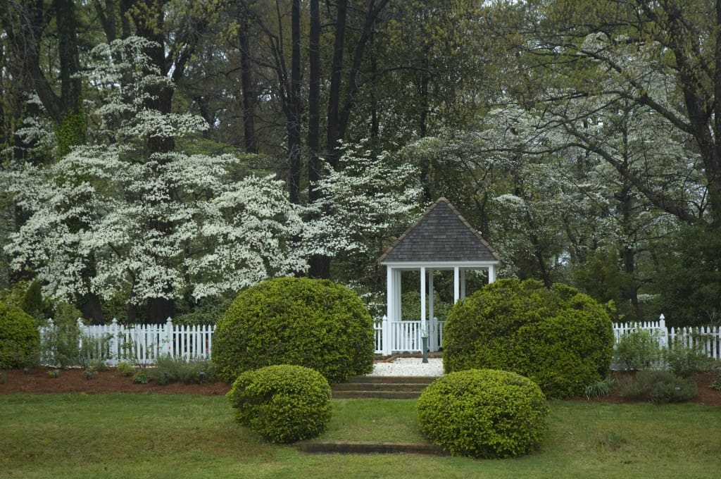 Colonial Garden Walk & Talk