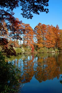 SOLD OUT Fall at Mirror Lake Walk & Talk