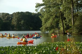 Sunset Kayaking