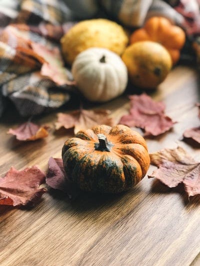 Little Sprout Explorers: Pumpkin Party