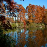 A photo of beautiful fall foliage around Mirror Lake.