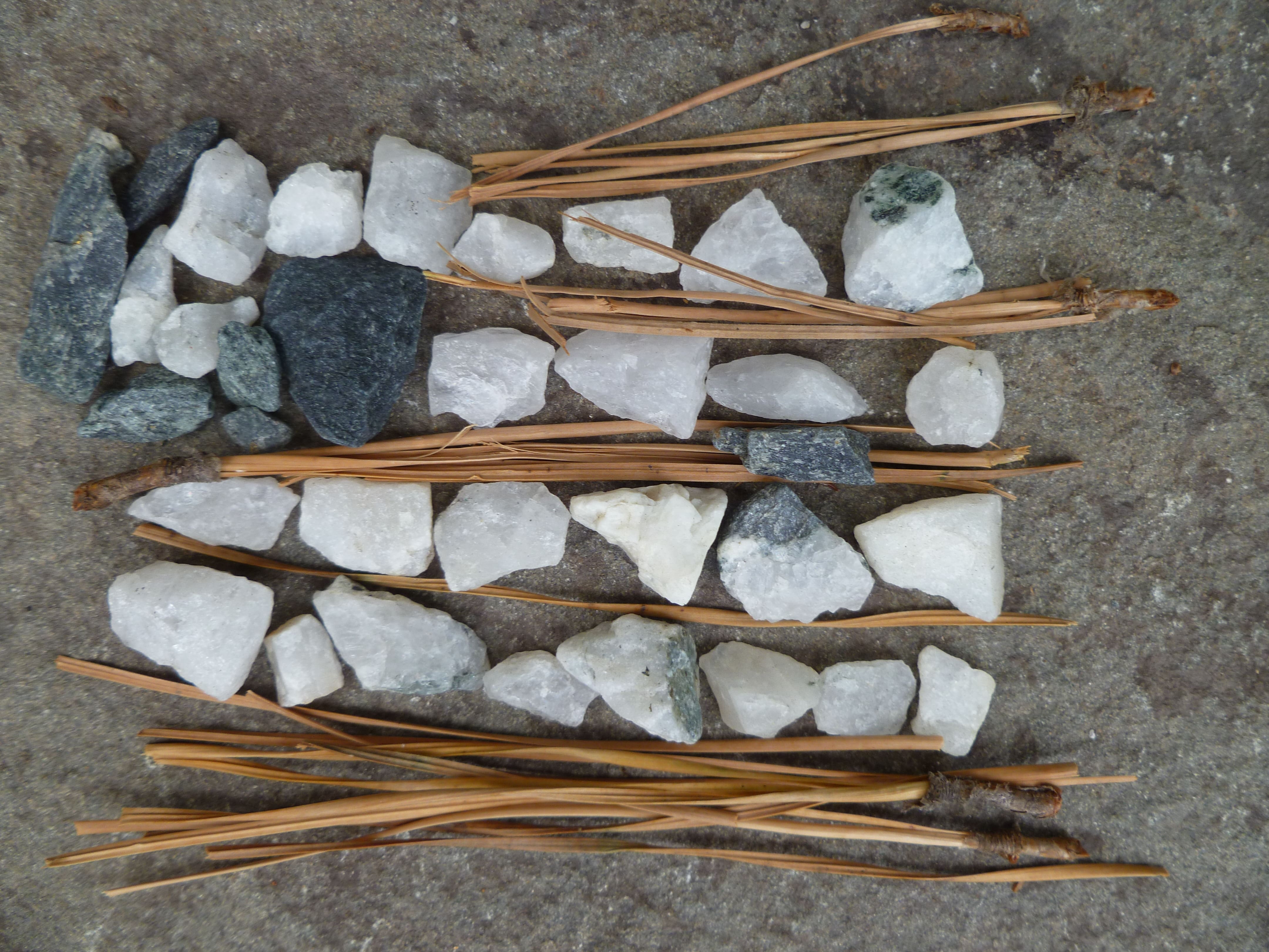 Autumn Garden Artists- Nature Tracks