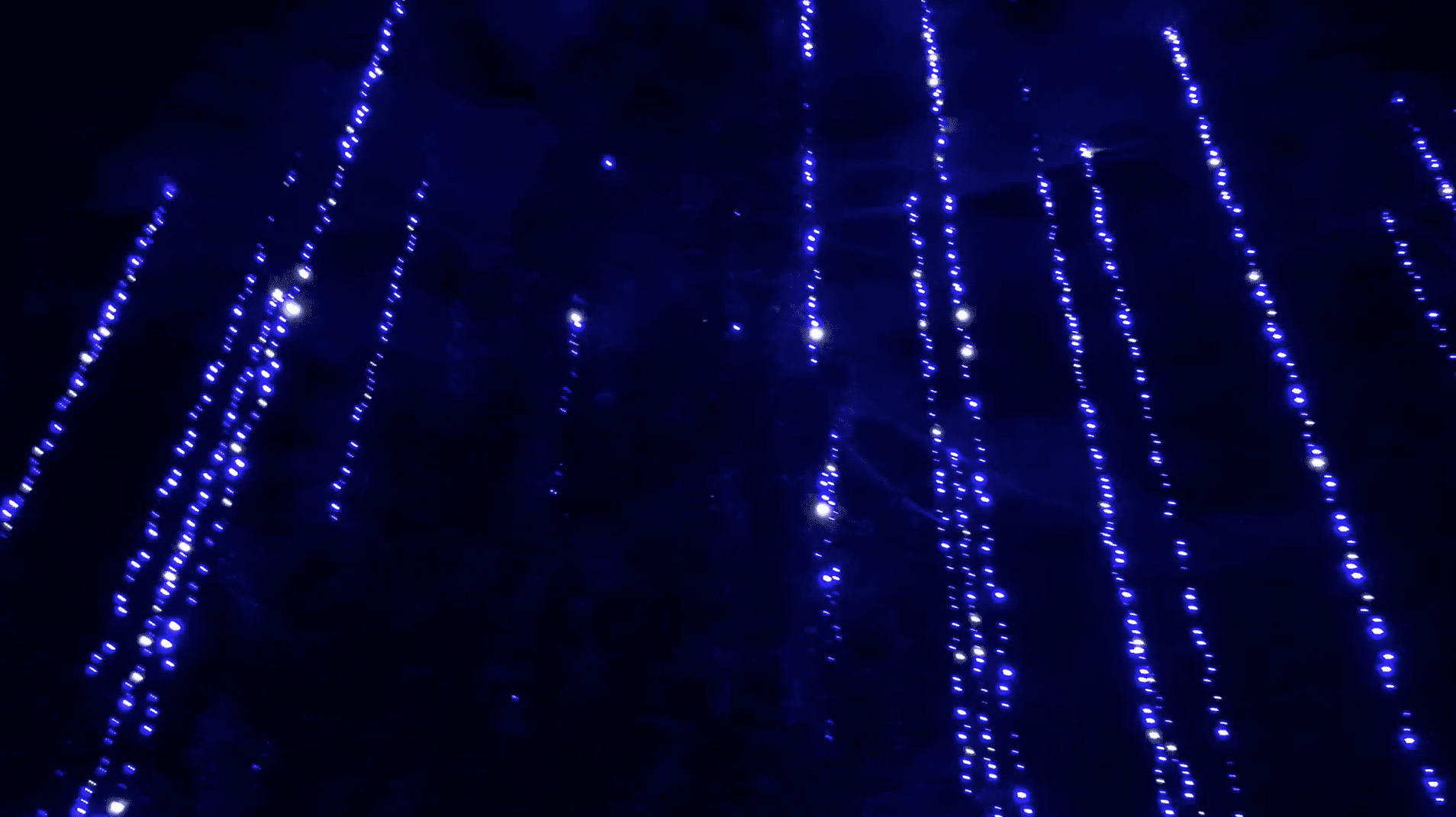 Dominion Energy Garden of Lights: Behind the Scenes