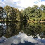SOLD OUT Mirror Lake Walk & Talk