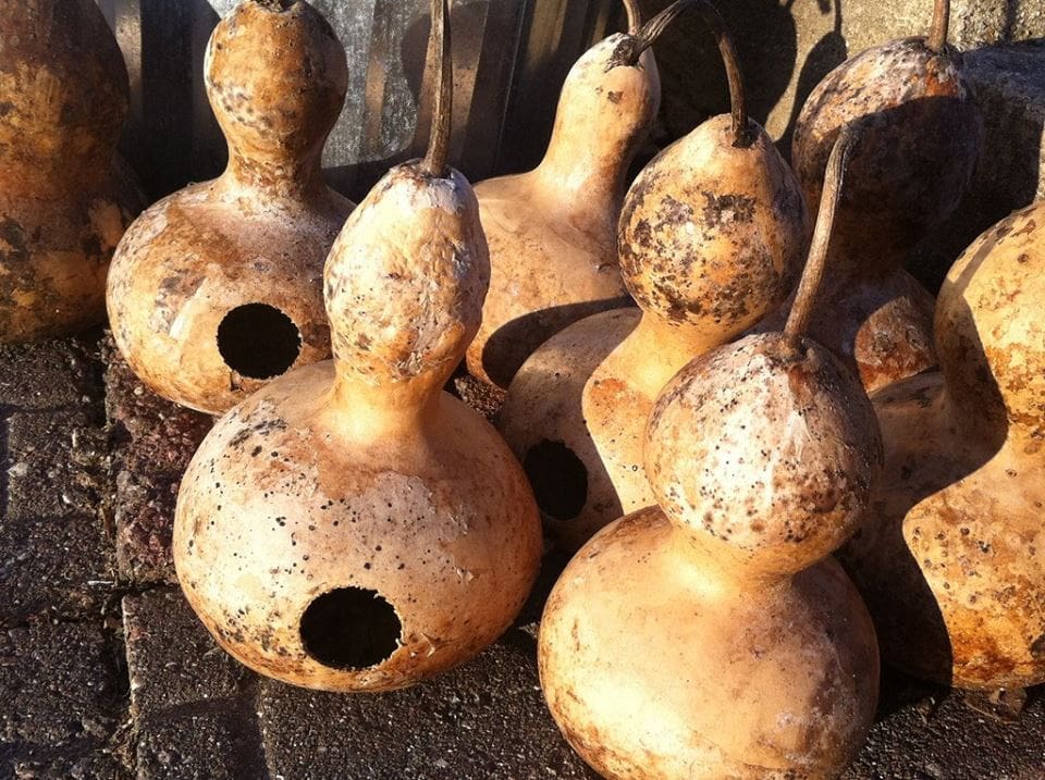 Gourd Birdhouse (2-Day Workshop)