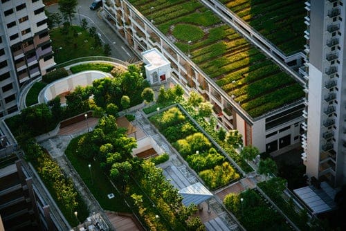 Urban Horticulture