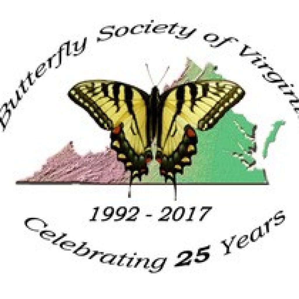 Step into the Enchanting World of Butterflies at Norfolk Botanical Garden