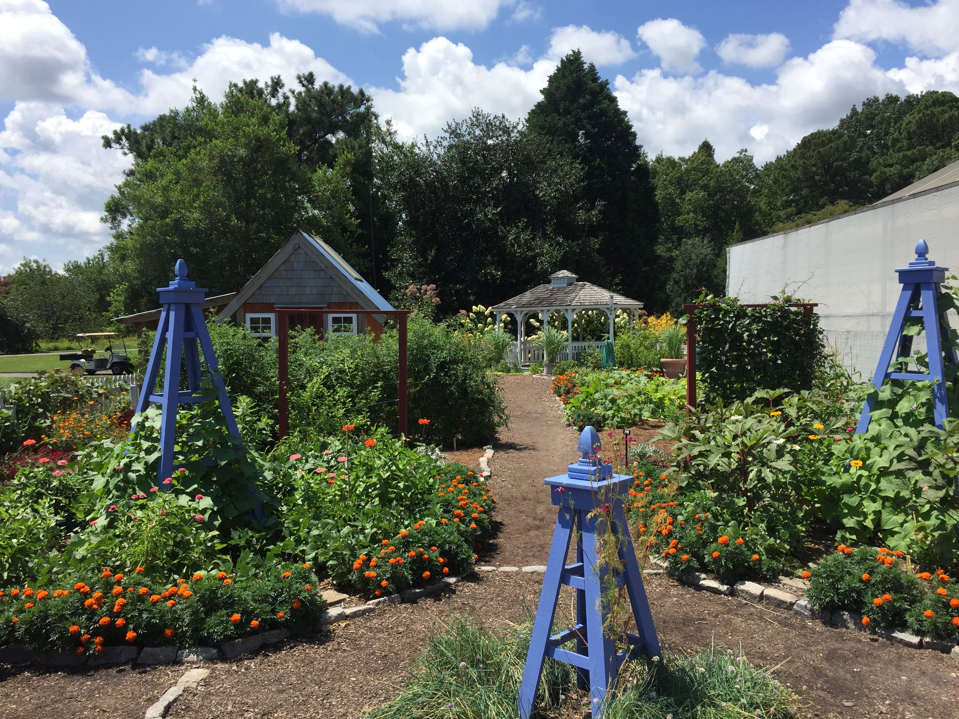 Kitchen Garden Walk & Talk