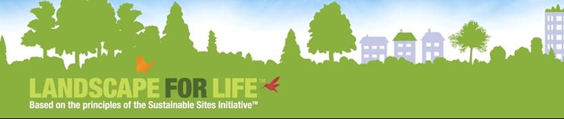 SOLD OUT Landscape for Life (5-Week Class)