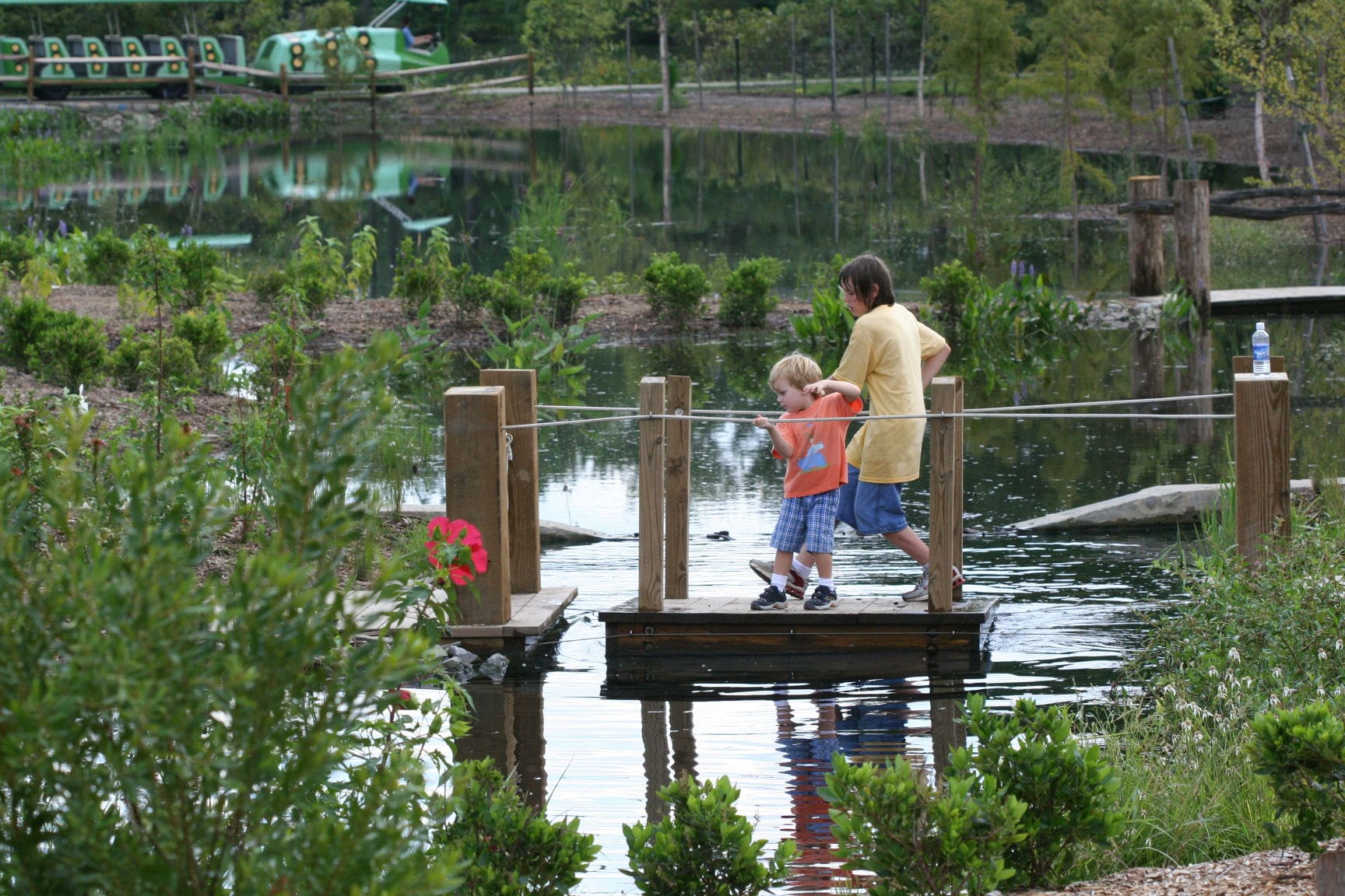 Homeschool in the Garden- Wetlands 101