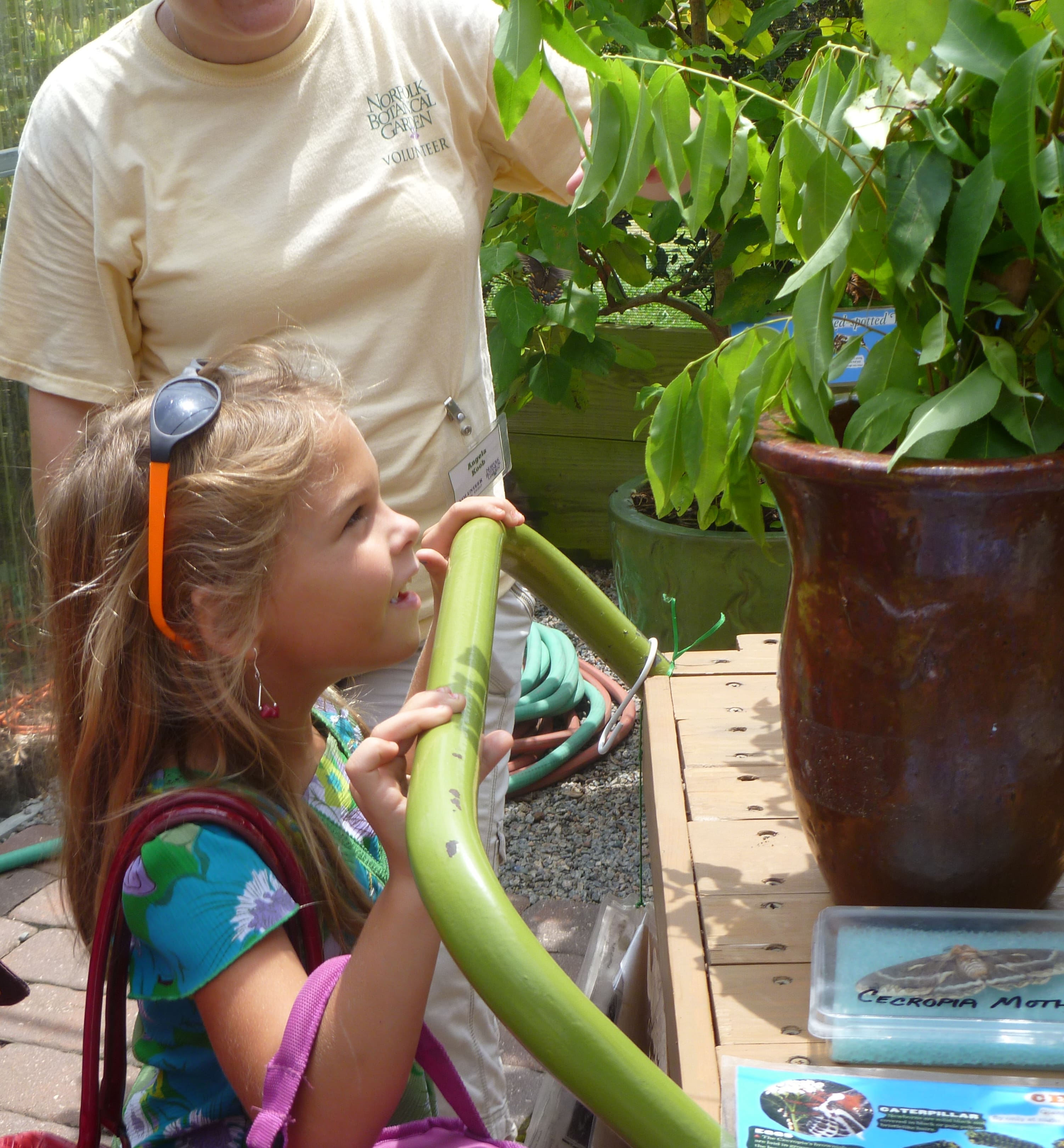 Little Sprouts Explorers- Pollinator Pals
