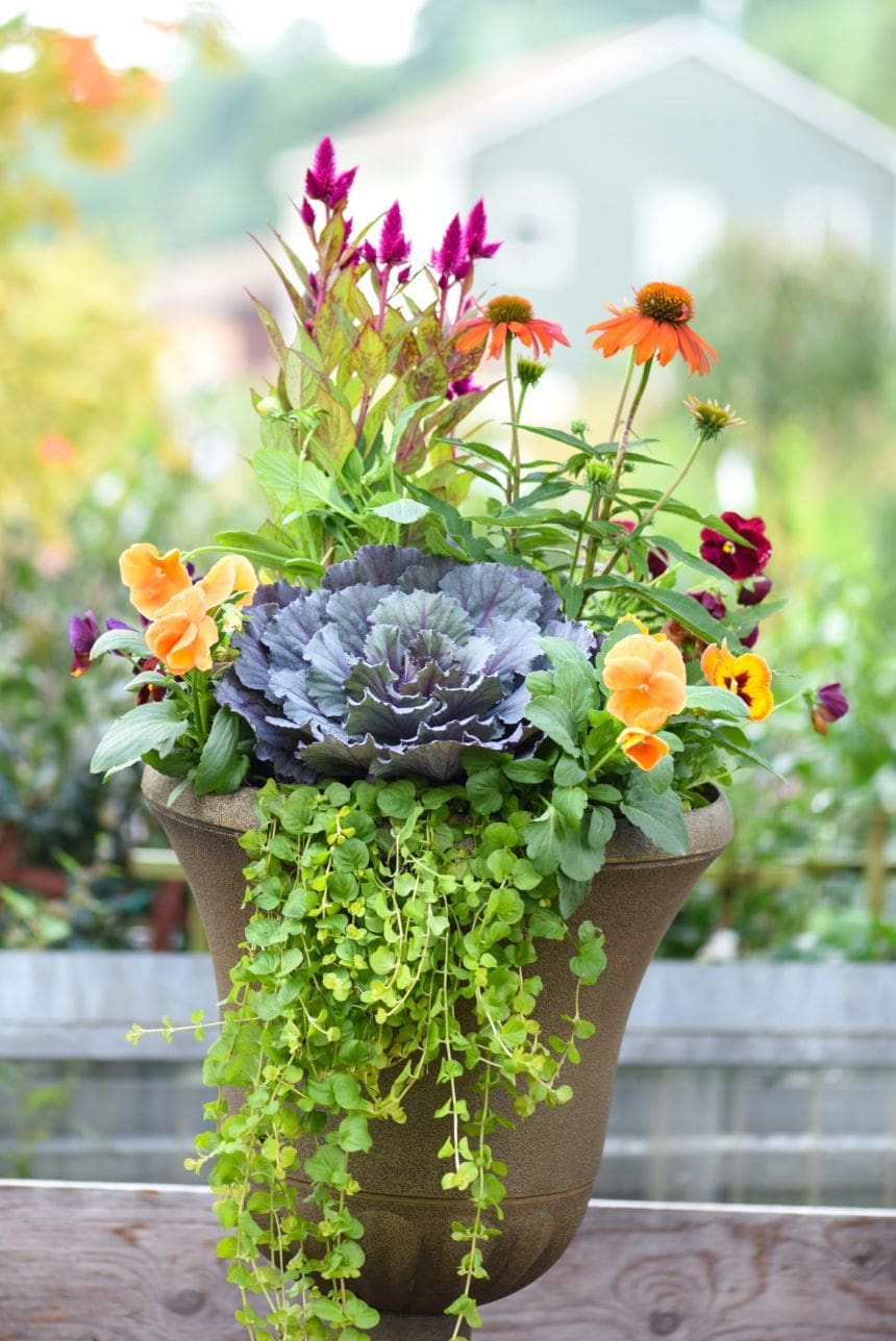 SOLD OUT Fall Container Workshop