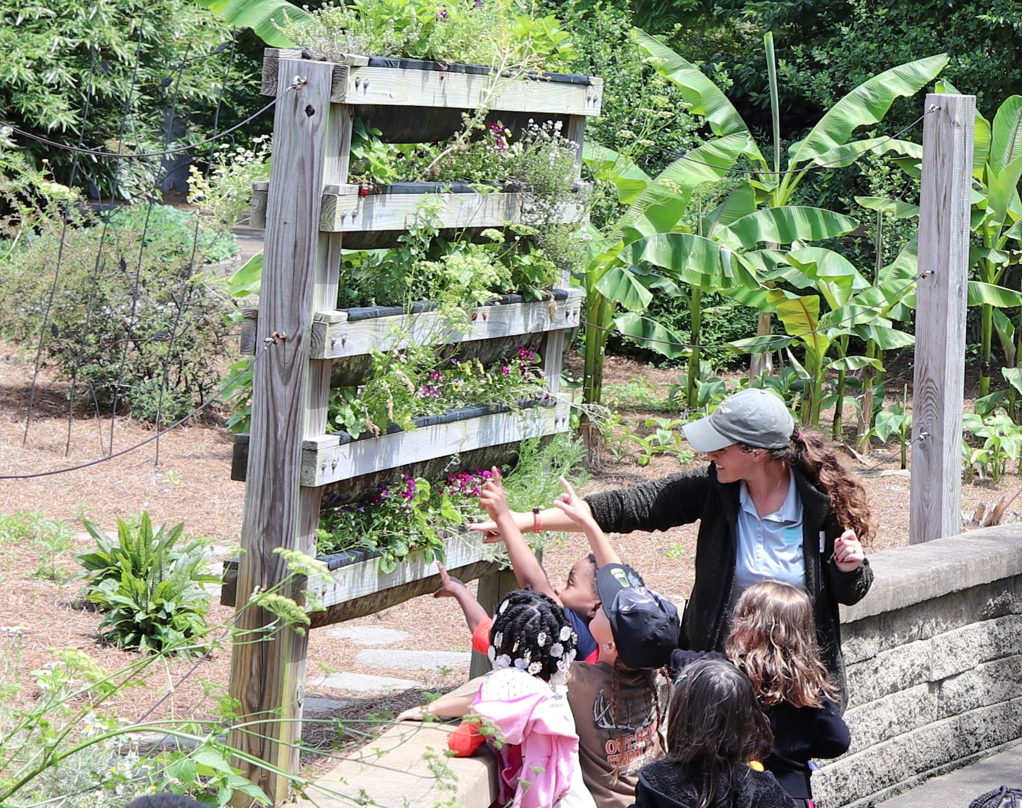 Homeschool in the Garden- Weather 101