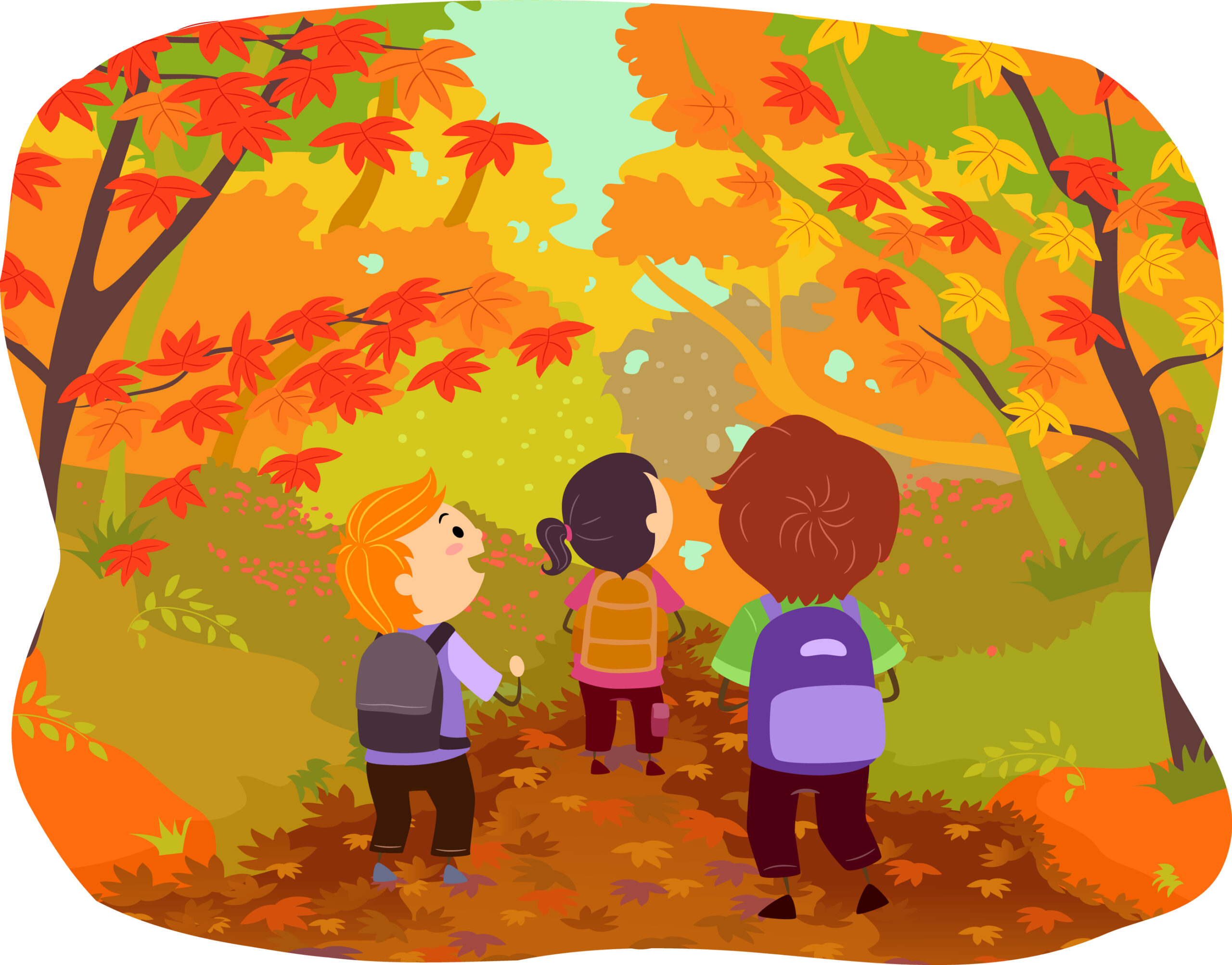 Little Sprout Explorers: Autumn Tree Detectives