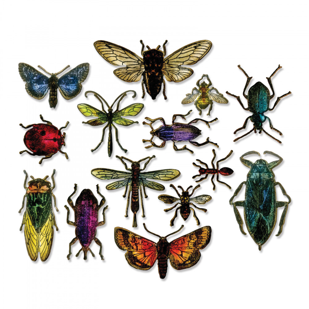 Intro to Entomology 1-Zoom Class