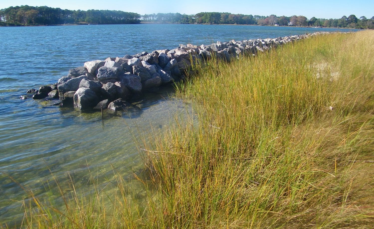 Lynnhaven River Now: Restoring Watersheds-Zoom Class