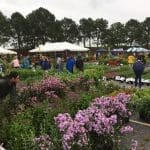 Spring Plant Sale-Zoom