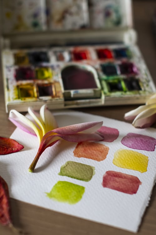 Watercolors: Hydrangeas and Butterflies