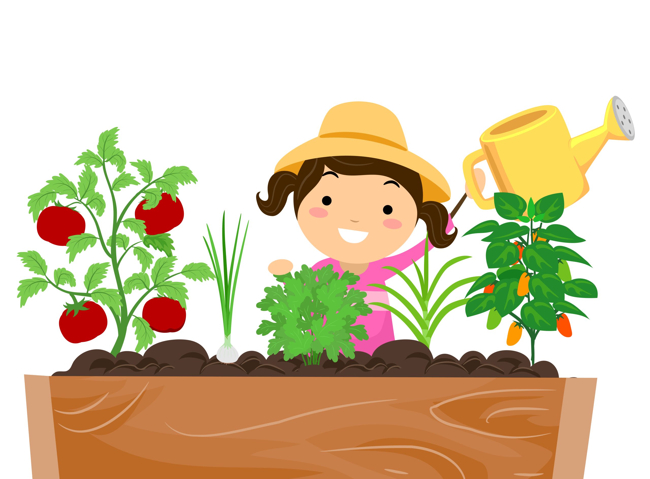 Virtual Little Sprout Explorers: Winter Gardeners - 2 Spaces Available!