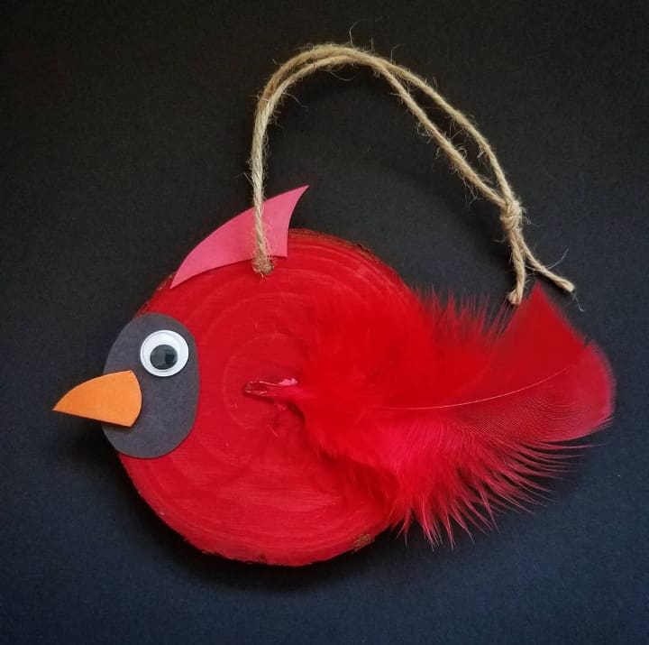 Virtual Little Sprout Explorers: Feathered Friends