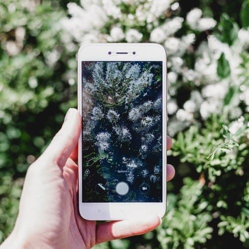 Smartphone Photography for Beginners