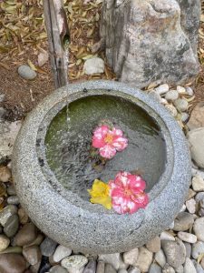 The image is of a fountain in the Japanese Garden. Flowers swirl in the water.