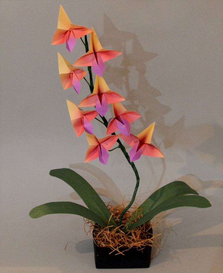 Origami: Orchids