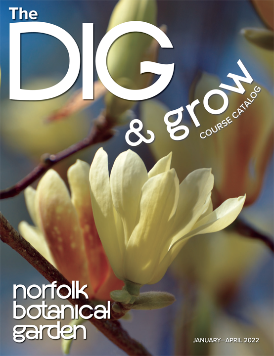 Cover of the DIG NBG Membership Magazine