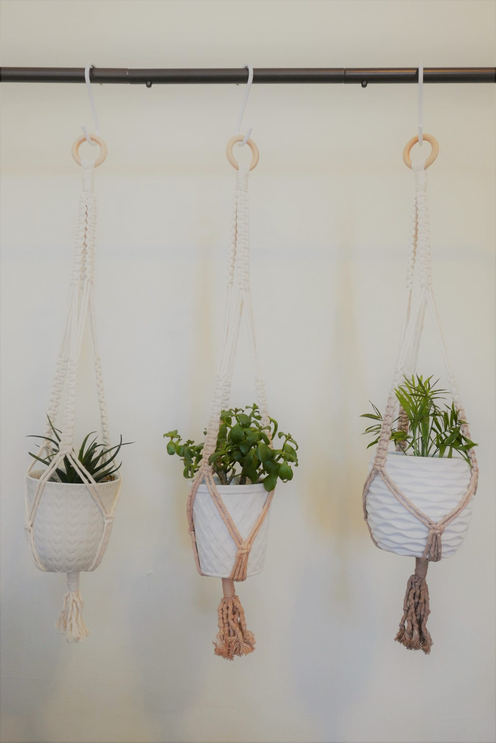 Hanging Macramé Planter Workshop