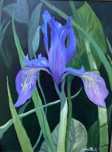 midnight-iris_oil_by-gina-buzby