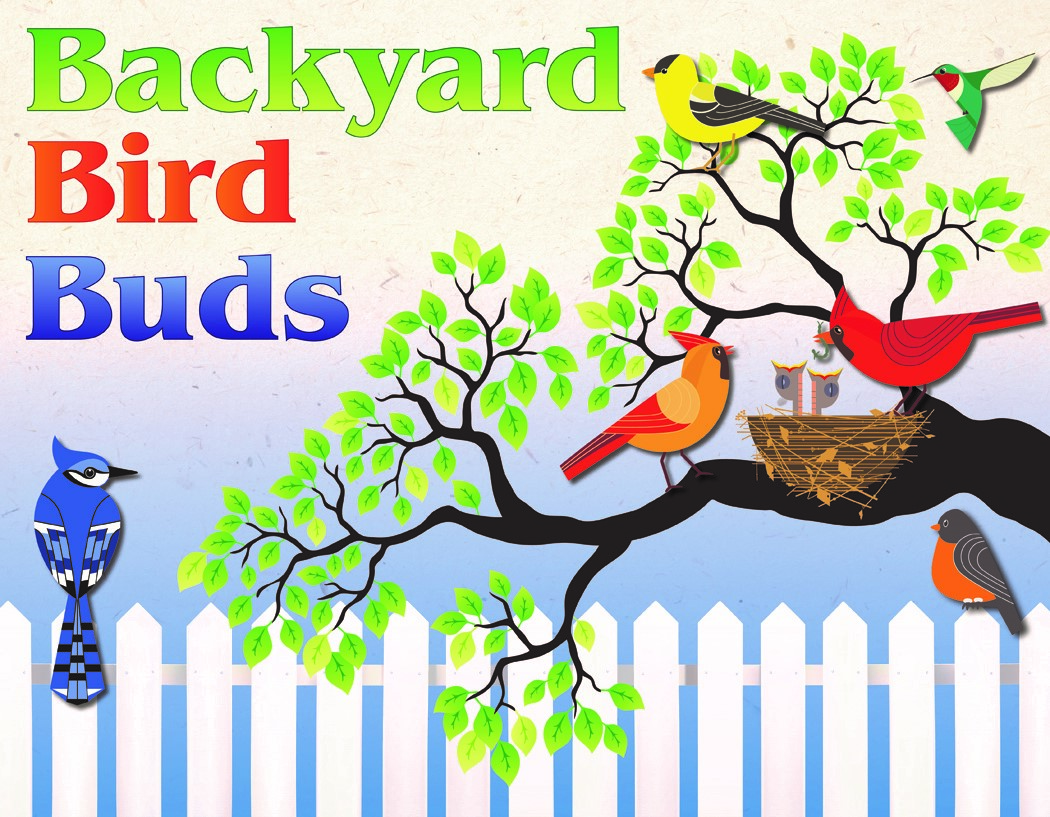 Backyard Bird Buds Club