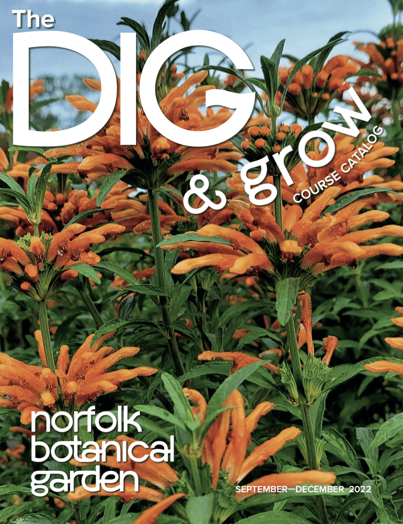 Norfolk Botanical Garden Virginia's Largest Botanical Garden