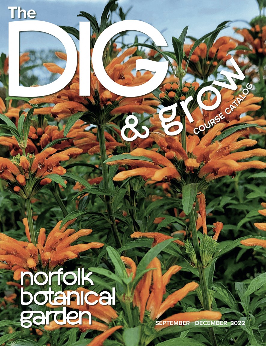 Norfolk Botanical Garden Virginia's Largest Botanical Garden