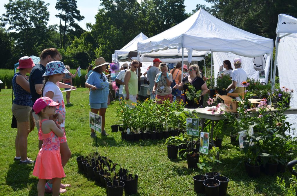 Photograph of visitors at a plant sale tent in the butterfly garden.