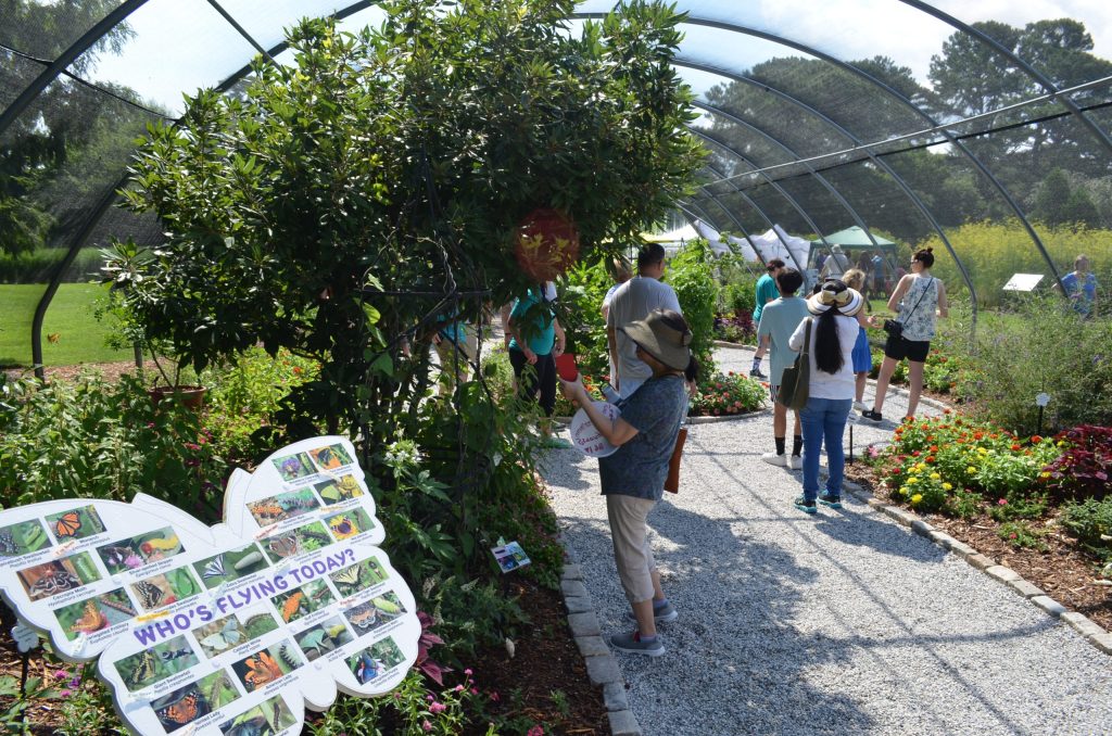 Photo of guests in the butterfly house and a sign showing the butterflies that may bee seen