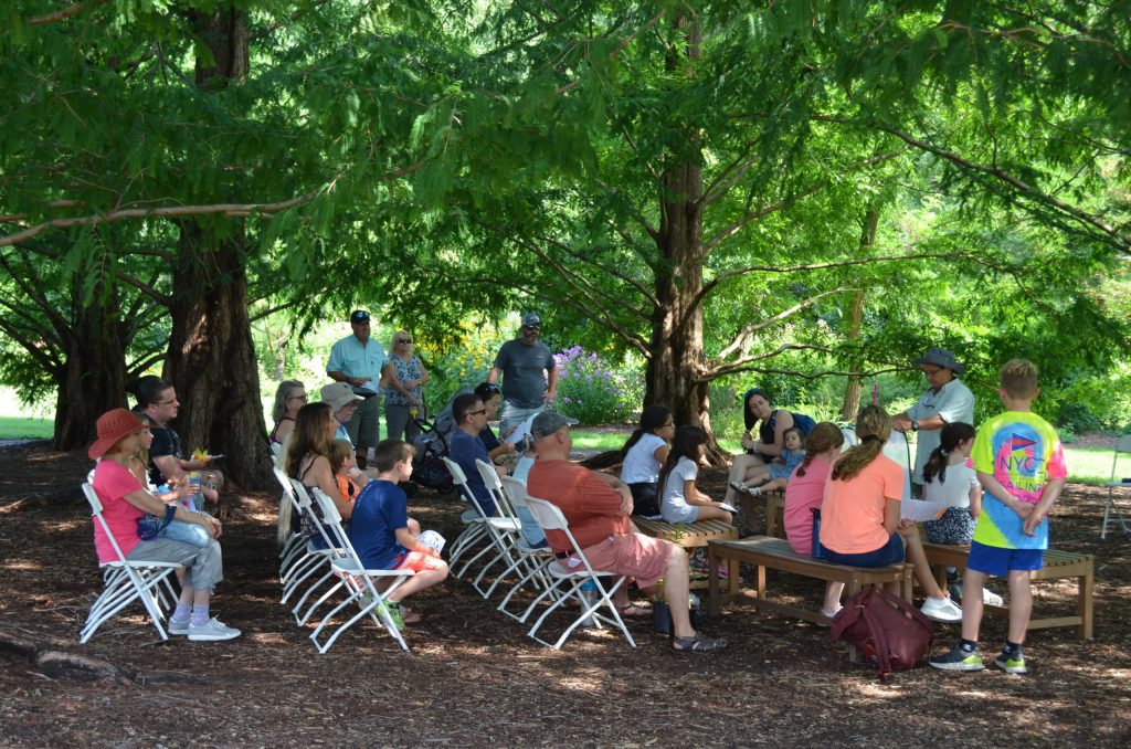 Photograph of guests watching a seminar under redwood trees at the Butterfly Festival