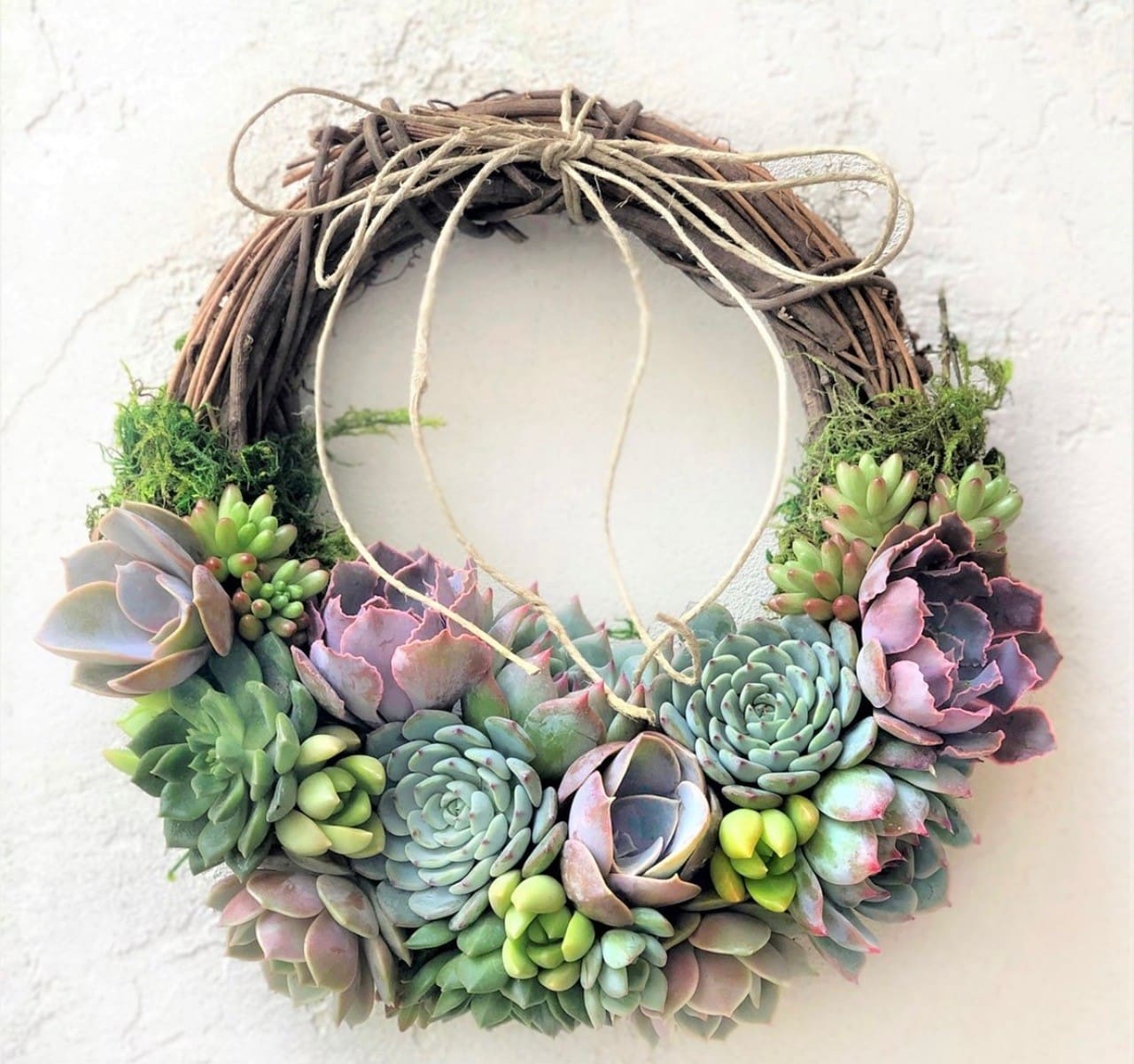 Spring Succulent Wreath