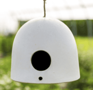 birdhouse-envato-edit