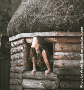 birdhouse-unsplash-1