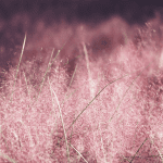 Thursday, October 30