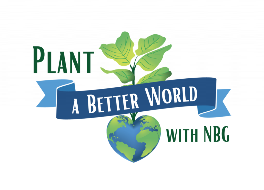 plant a better world graphic