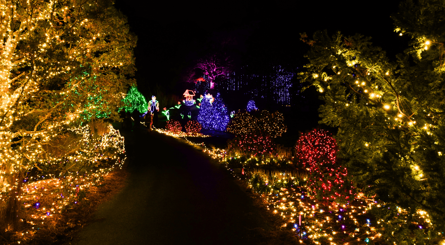 Norfolk Botanical Garden – Virginia's Largest Botanical Garden