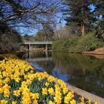 SOLD OUT Late Winter Walk & Talk