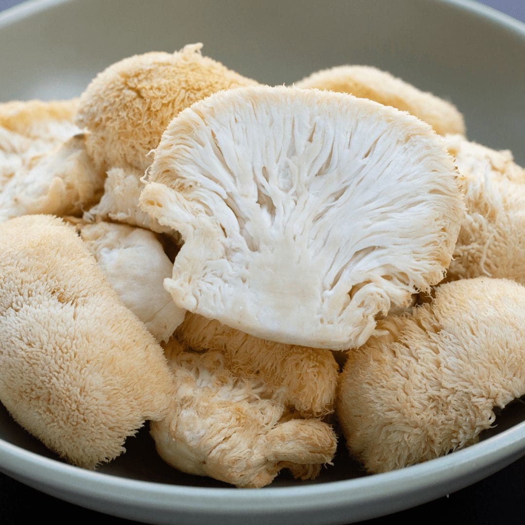 SOLD OUT Tidewater Mushroom Company Field Trip