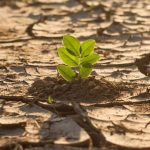 Climate Change & Environmental Justice